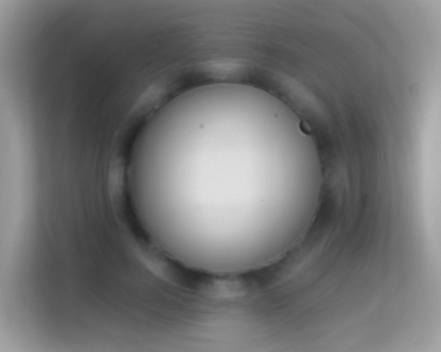 X0000114240744200910091508