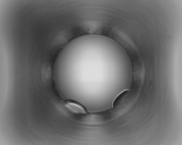 X0000114240748200910091508