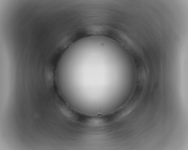 X0000114240749200910091508