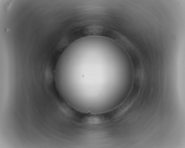 X0000114240751200910091508