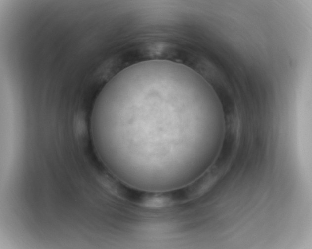 X0000114240754200910091508
