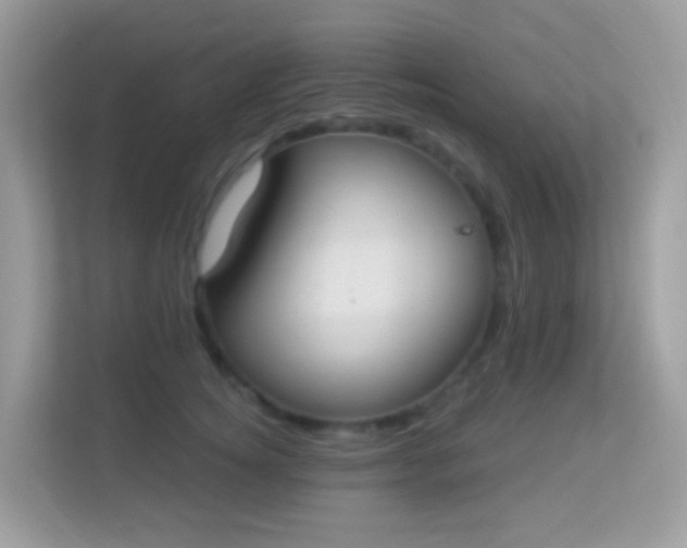 X0000114240756200910091508