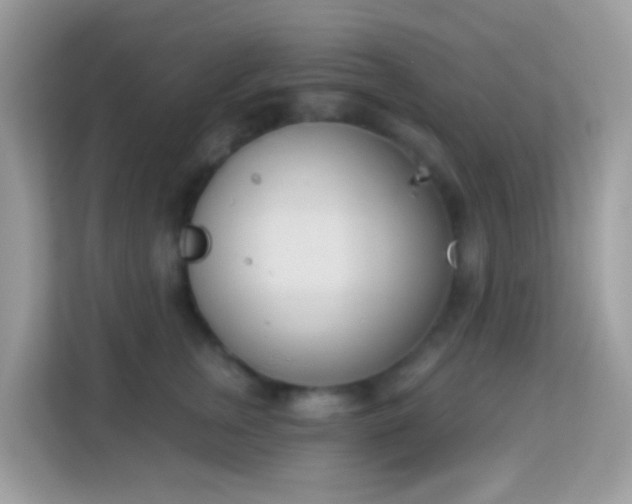 X0000114240759200910091508