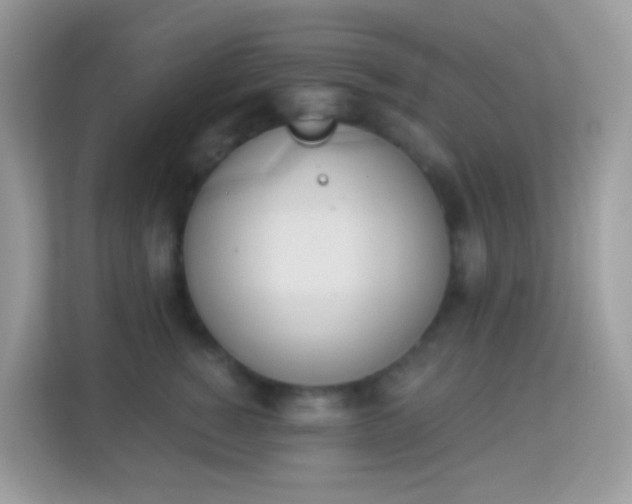 X0000114240760200910091508
