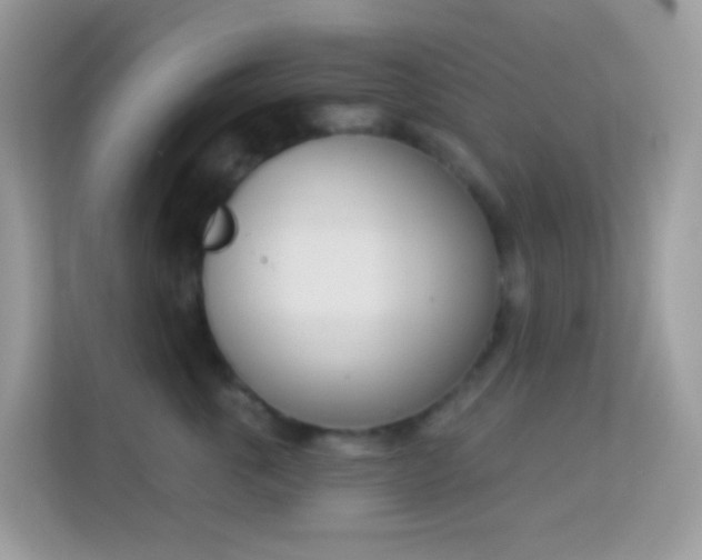 X0000114240763200910091508