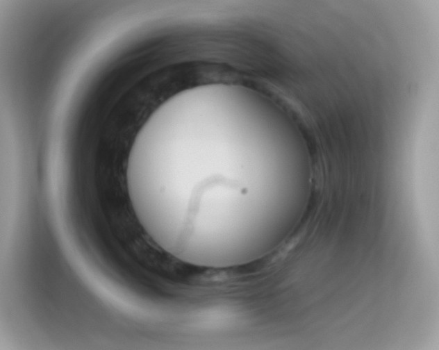 X0000114240764200910091508