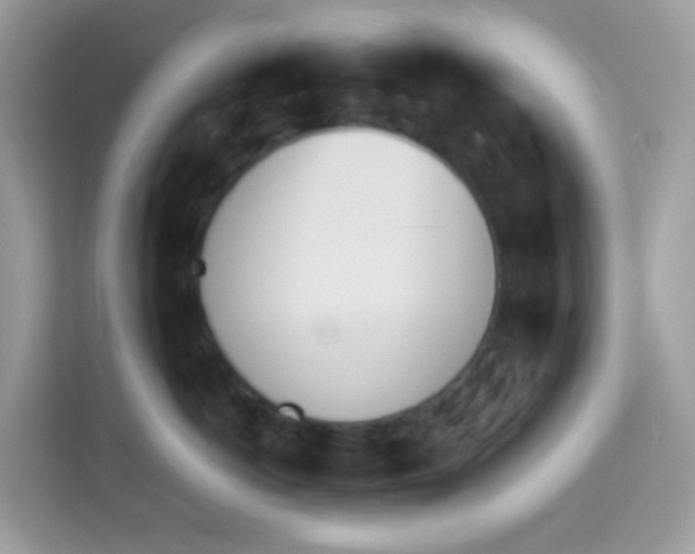 X0000114240766200910091508