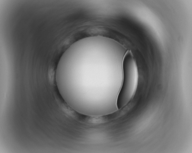 X0000114240767200910091508