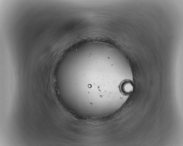 X0000114240769200910091508