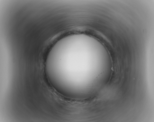 X0000114240773200910091508
