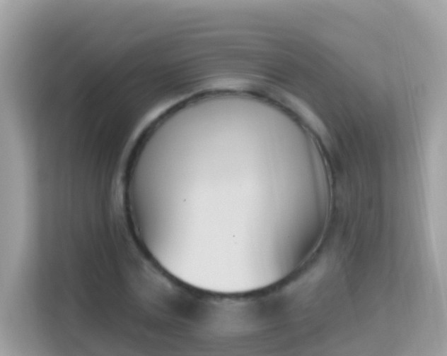X0000114240779200910091508