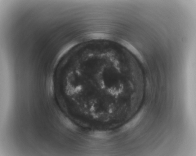 X0000114240782200910091508