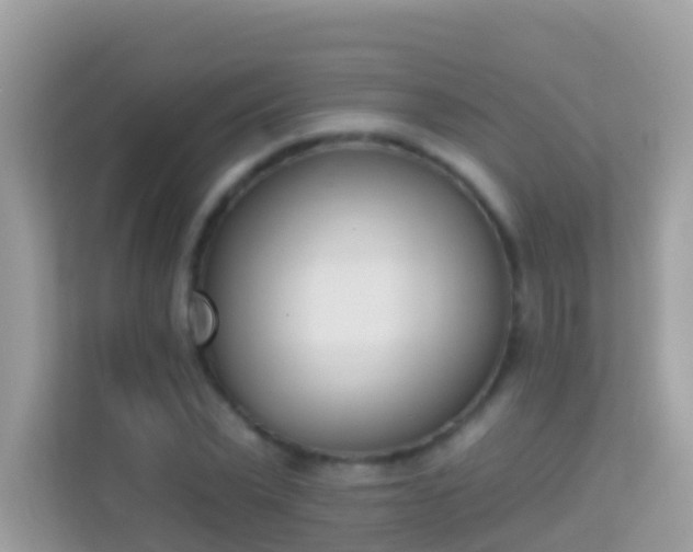 X0000114240783200910091508