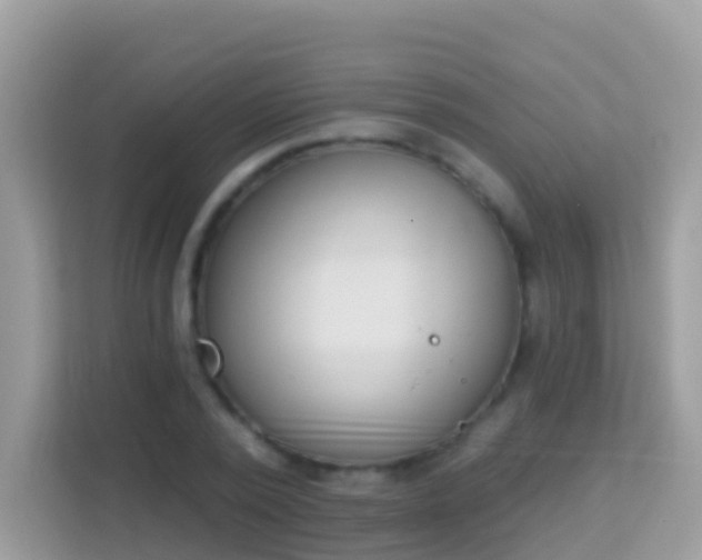 X0000114240784200910091508