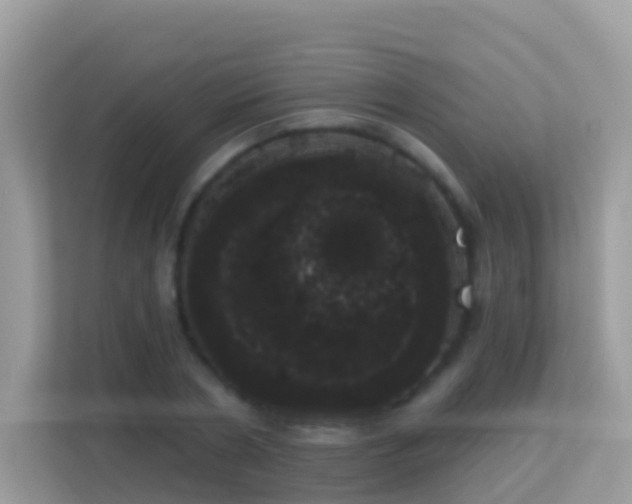 X0000114240786200910091508
