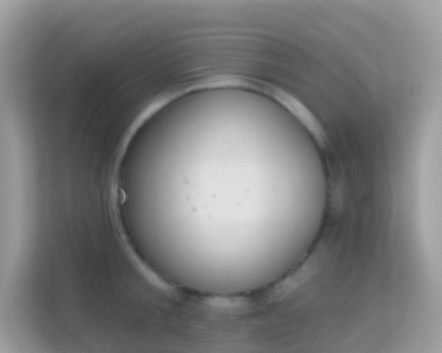 X0000114240805200910091507