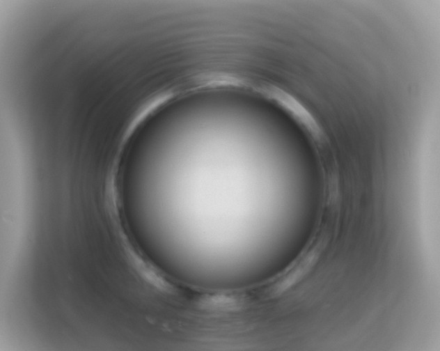 X0000114240806200910091507
