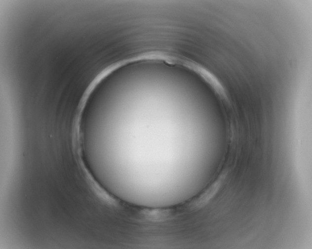 X0000114240808200910091507