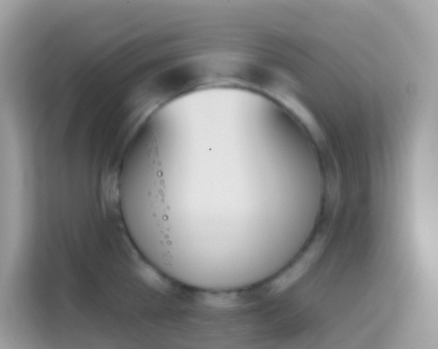 X0000114240809200910091507