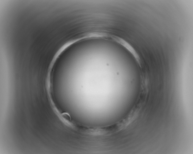 X0000114240811200910091507