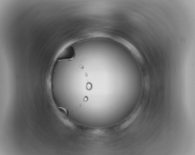 X0000114240814200910091507
