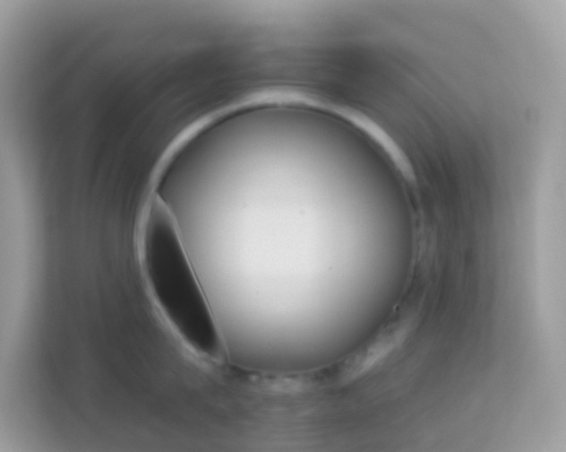 X0000114240815200910091507