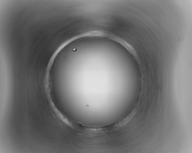 X0000114240816200910091507
