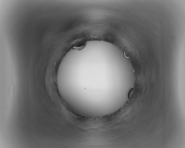 X0000114240817200910091507