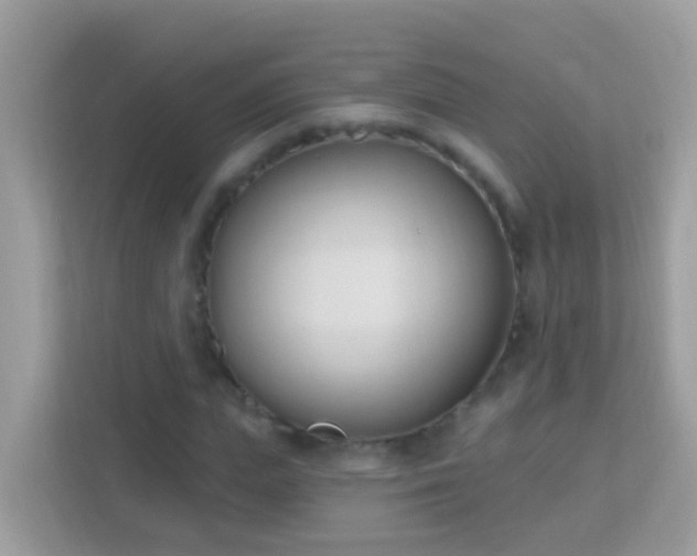 X0000114240823200910091507