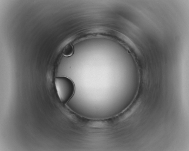 X0000114240826200910091507