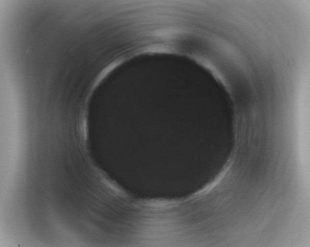 X0000114240829200910091507