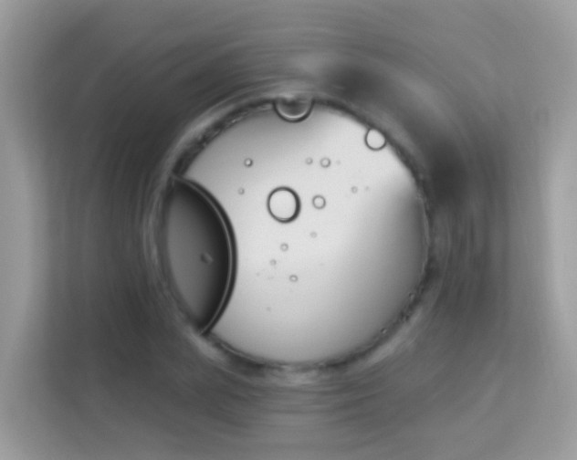 X0000114240831200910091507