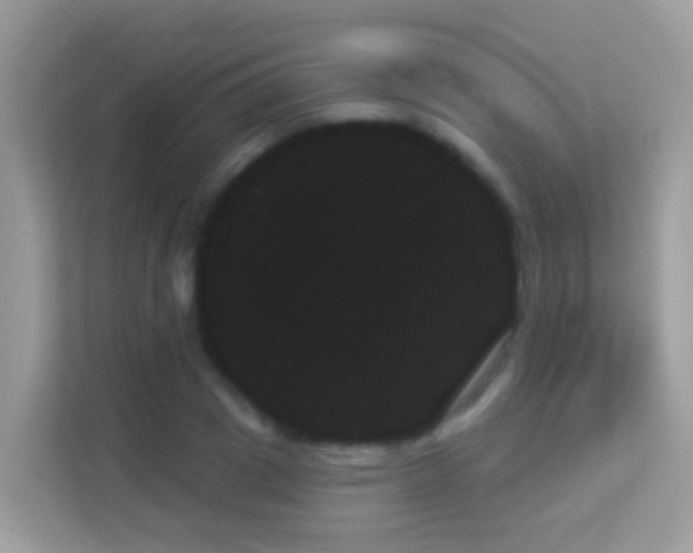 X0000114240833200910091507