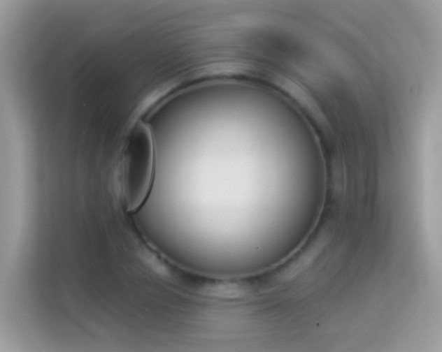 X0000114240834200910091507