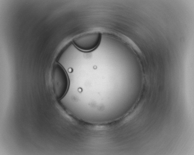 X0000114240839200910091507