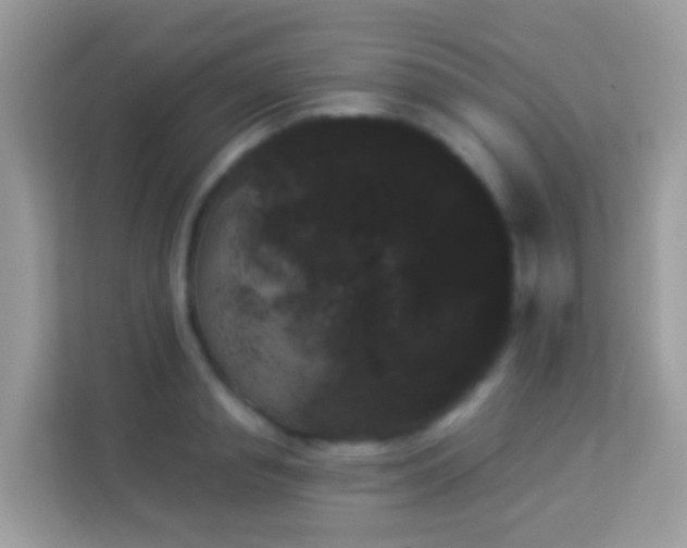 X0000114240845200910091507