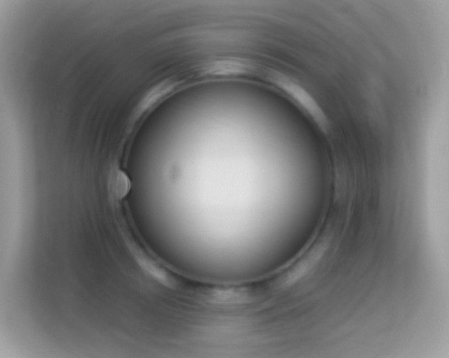 X0000114240850200910091507