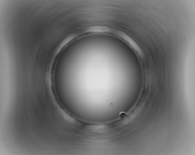 X0000114240853200910091507