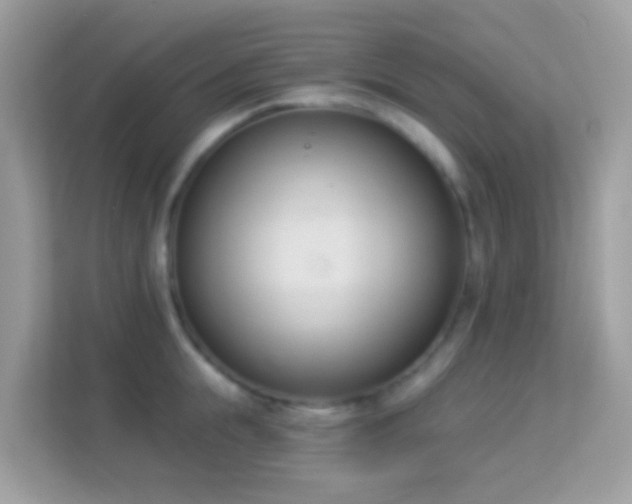 X0000114240855200910091507