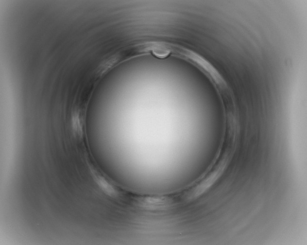 X0000114240857200910091507