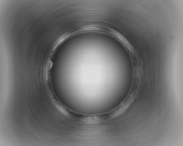 X0000114240858200910091507