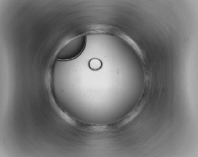 X0000114240859200910091507