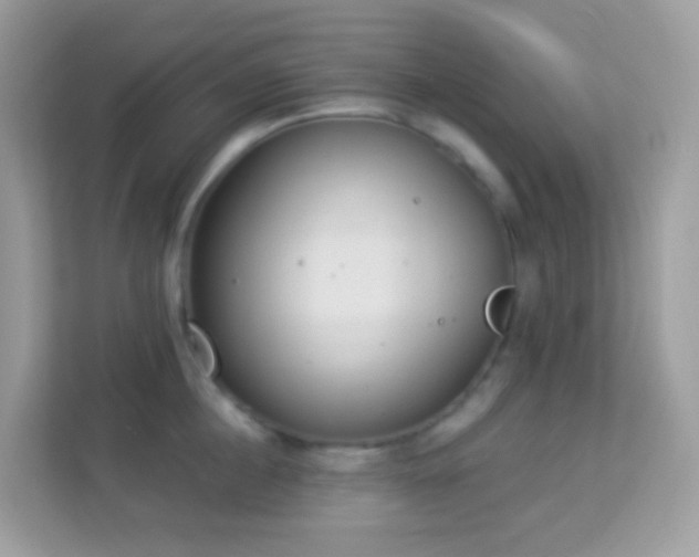 X0000114240860200910091507