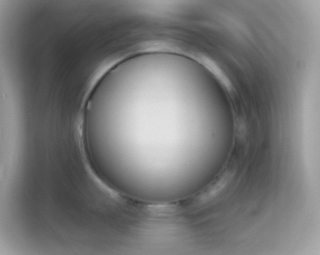 X0000114240863200910091507