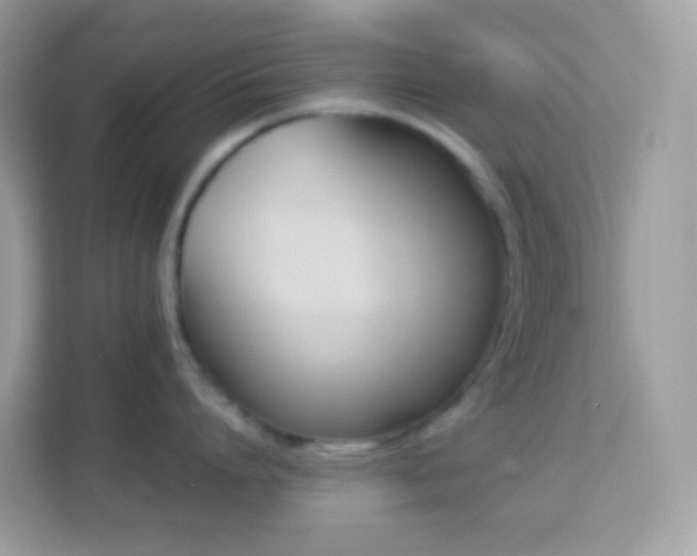 X0000114240864200910091507