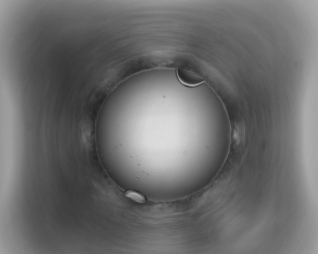 X0000114240867200910091507