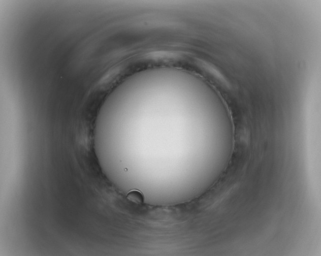 X0000114240869200910091507