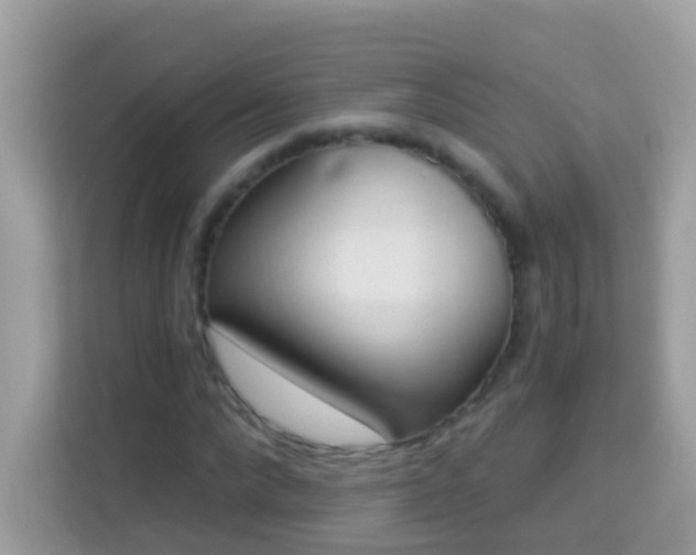 X0000114240872200910091506