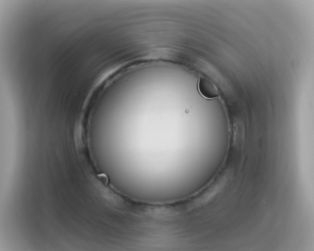 X0000114240876200910091506
