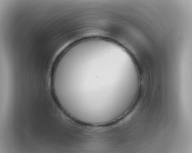 X0000114240877200910091506